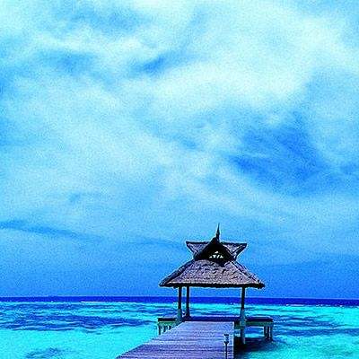 BET9登录APPapp下载