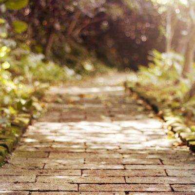 kaiyun·开云手机app下载